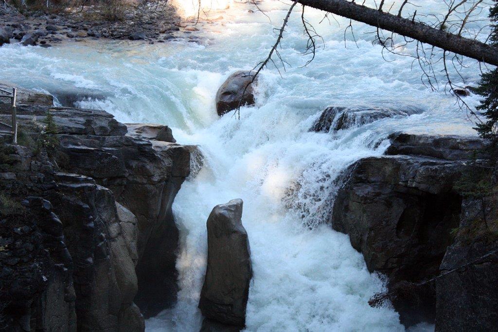 Sunwapta Falls Rocky Mountain Lodge Jasper Tiện nghi bức ảnh